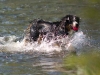 schwimmen-vienenb-18