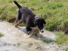 schmuddelkind
