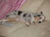 anstrengend-alles