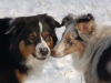 friends4ever