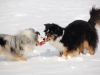 schnee7-10