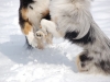 schnee7-13