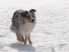 schnee7-8